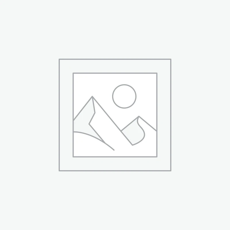 پنکه رومیزی دمنده مدل Haleh