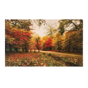 خرید                     فرش دستبافت دیوارکوب طرح پاییز کد 204