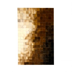 خرید                     کلاژ فرش پوست و چرم مدل 12012
