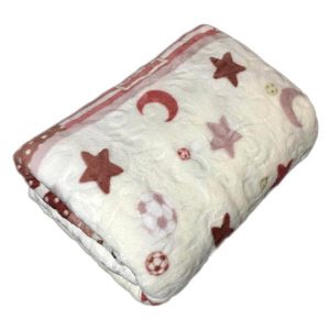 خرید                     پتو مسافرتی مدل PG295 سایز 180x230 سانتی متر