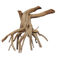 خریدتنه درخت تزیینی مدل ریشه آبنوس کد RB101