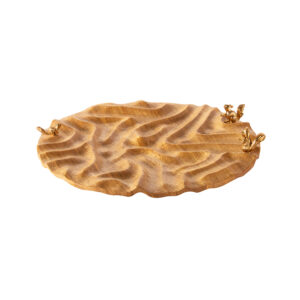 خریدشیرینی خوری گلدکیش مدل اس‌کیو کد GK829702