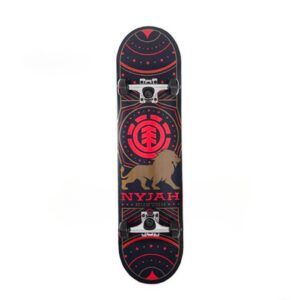 خریداسکیت بورد المنت مدل Nyjah Huston Adorned
