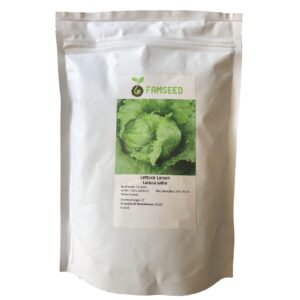 خریدبذر کاهو سالادی فام سید مدل Lactuca Sativa